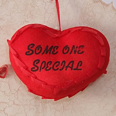 Red Heart Soft Toy
