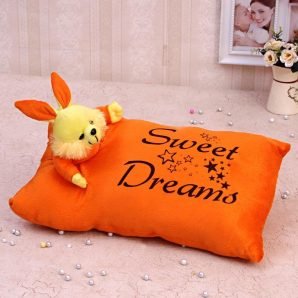 Bunny Says Good Night : Stuffed Toy Cushions