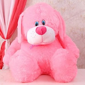 Floppy Ears Bunny : Big Soft Toys
