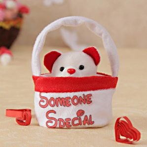 Teddy in Basket