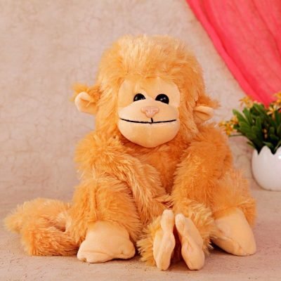 Innocent Chimp : Soft Animals