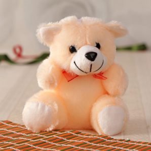 Peach Fur Soft Teddy Bear