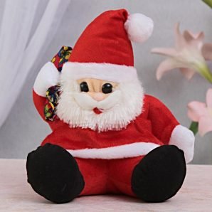 A Cute Santa : Santa Claus / Soft Toys