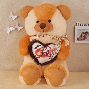 Two Shaded Teddy