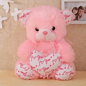 I Love You Teddy