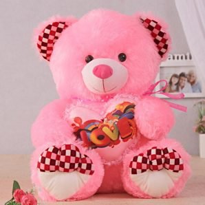 Hugging Bear : Love Soft Toys