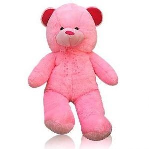 Big Eddy Teddy : Big Soft Toys
