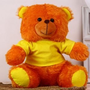 Cute Teddy : Personalized Soft Toys
