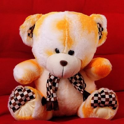 Adorable Teddy : Soft Toys