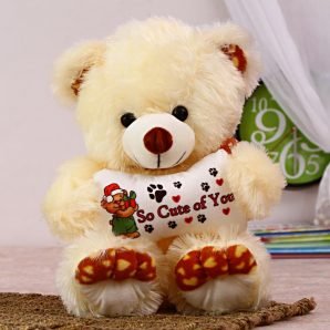 Hold Me Tight : Soft Toys