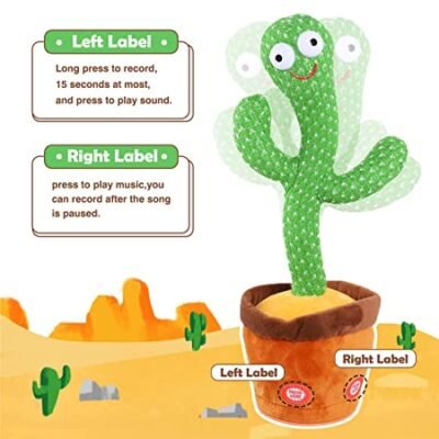 Dancing Cactus - Image 4